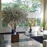 Locação Árvore de Cerejeiras Francesas 3,00x3,00 Folhagem Artificial