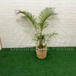 Locação Vaso de Palha Com Palmeira Areca
