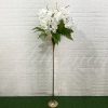 Locação de Vaso Alto Haste Longa Pedestal em Dourado