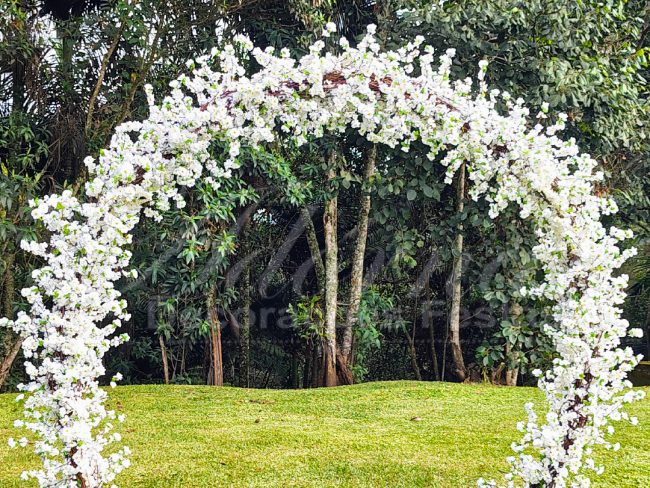 Arco de Flores Cejereiras