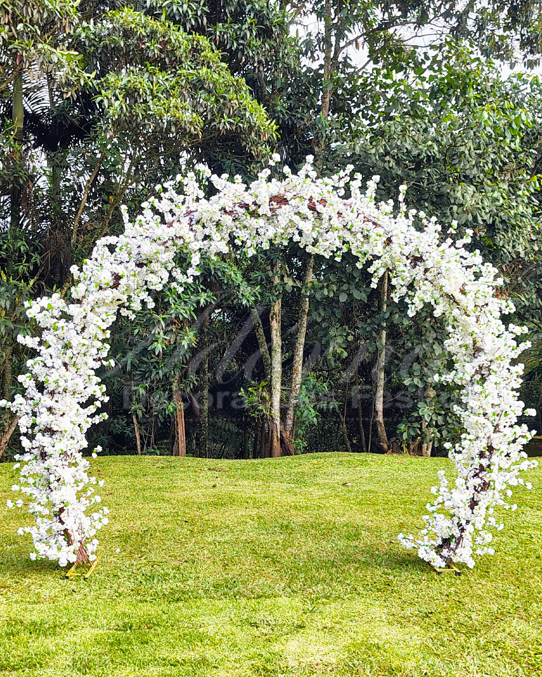 Arco de flores cerejeiras brancas para cerimônia de casamento ao ar livre, altar e entrada dos noivos